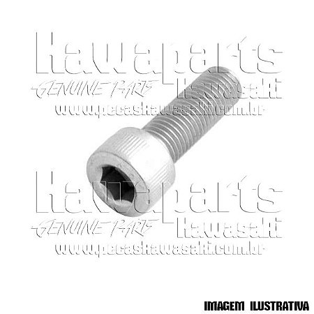 PARAFUSO SOQUETE 10X30 - 92153-1524