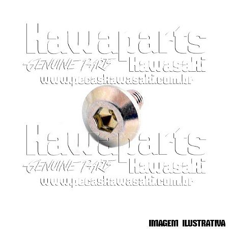 PARAFUSO SOQUETE 6X11 - 92153-1695