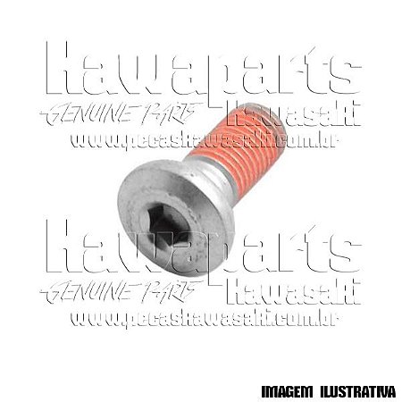 PARAFUSO SOQUETE 10X22 - 92153-1905