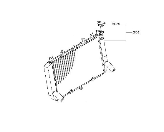 RADIADOR KAWASAKI Z900 / 2021 A 2022 - 39061-0813