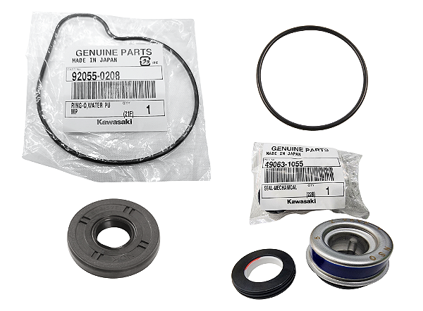 REPARO BOMBA ÁGUA KAWASAKI NINJA ZX-10R