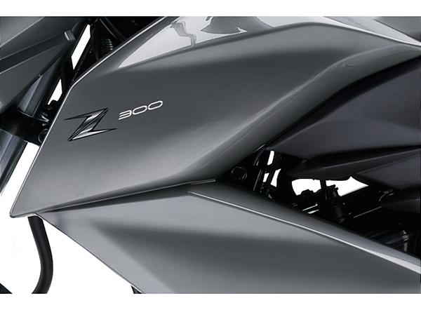 ADESIVO PROTETOR DA Z300 - 56054-2220