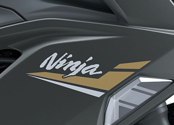 ADESIVO CARENAGEM LAT DIR