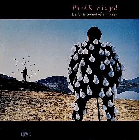 LP Pink Floyd ‎– Delicate Sound Of Thunder