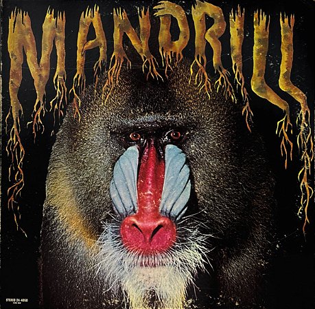 LP Mandrill – Mandrill