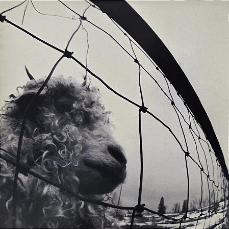 LP Pearl Jam – Vs. - 1993 - Raro