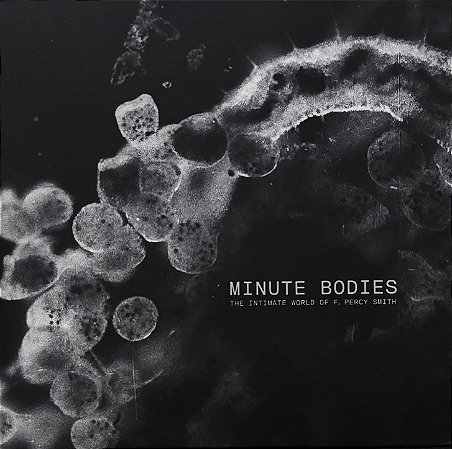 LP Tindersticks With Thomas Belhom And Christine Ott – Minute Bodies - The Intimate World Of F. Percy Smith
