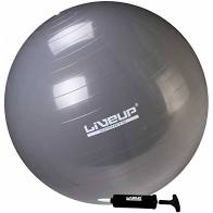 Bola Suíça Premium 65 cm