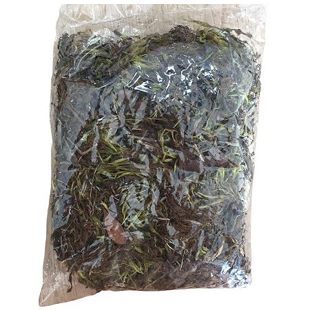 Pacote de Musgo Seco Pequeno