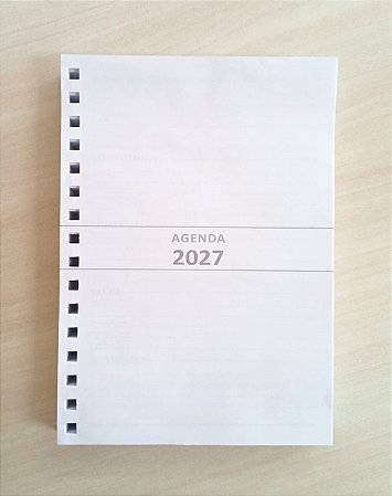 MIOLOS DE AGENDA 2027 - 1 DIA por Página (Cinza) Furados p/wire-ô 2:1