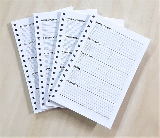 Miolos Mini Caderninhos / Agendinhas 10x15 C/50fls Furados p/wire-ô