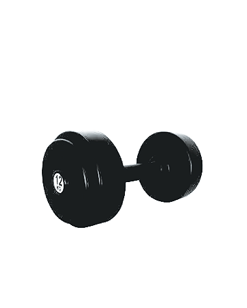 DUMBELL MONOBLOCO INJETADO