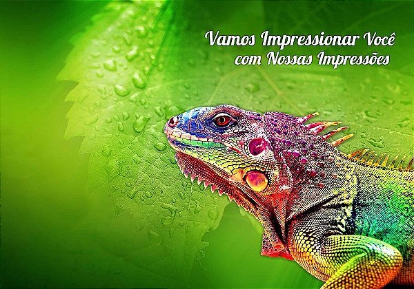 1 Impressão Laser Colorida