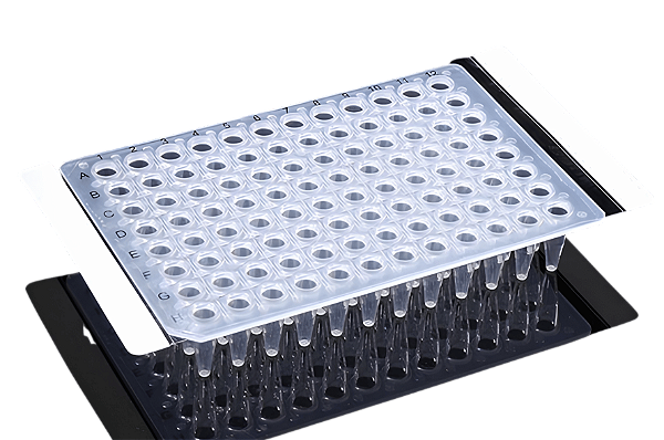 FILME SELANTE PARA PCR 146X81MM TEMPERATURA -20 A 110C 100UN
