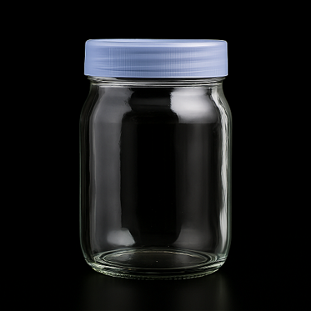 POTE DE VIDRO COM TAMPA DE PLASTICO 250ML