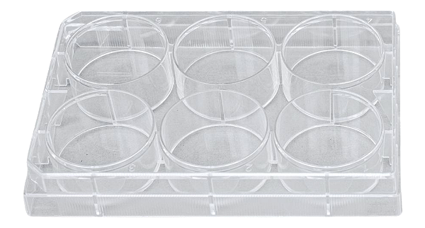 MICROPLACA PARA CULTURA CELULAR COM 6 ORIFICIOS