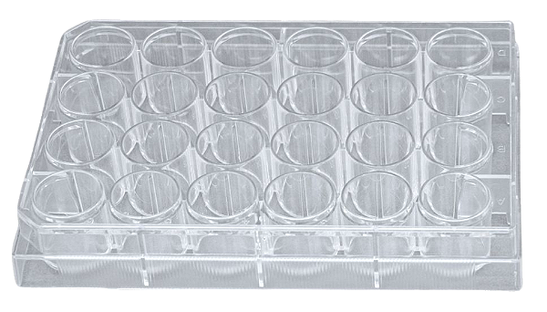 MICROPLACA PARA CULTURA CELULAR COM 24 ORIFICIOS