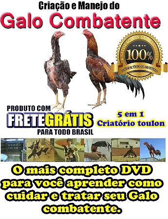 Dvd Criação E Manejo De Galos Combatentes