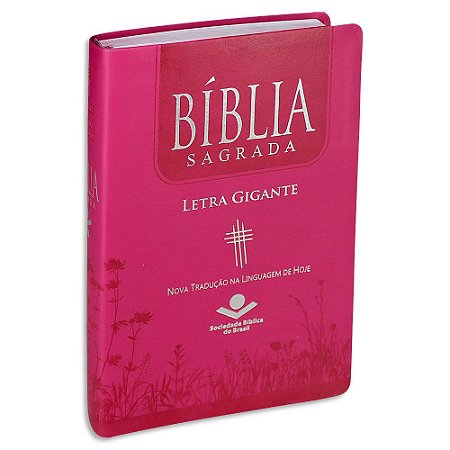 Bíblia Feminina NTLH Letra Gigante Pink