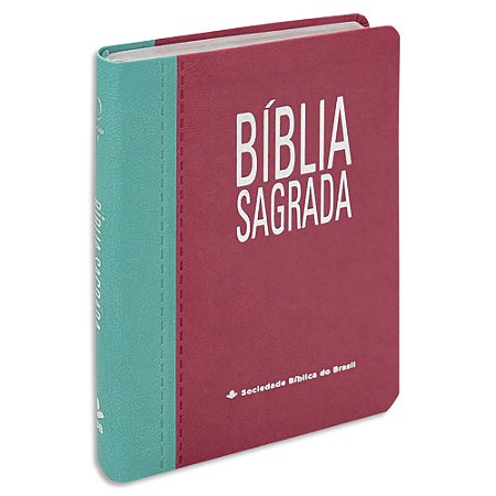 Bíblia Letra Gigante ARC Turquesa e Pink