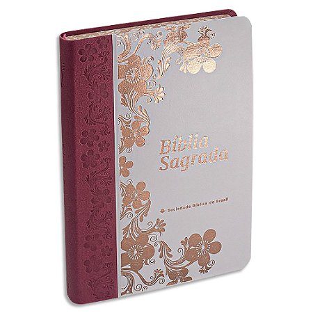 Bíblia Feminina NTLH Letra Grande capa Ilustrada Luxo