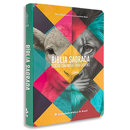 Bíblia Sagrada Edição com Notas para Jovens NTLH Letra Grande