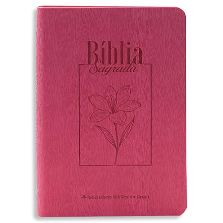 Bíblia Feminina NAA Letra Grande Capa Goiaba