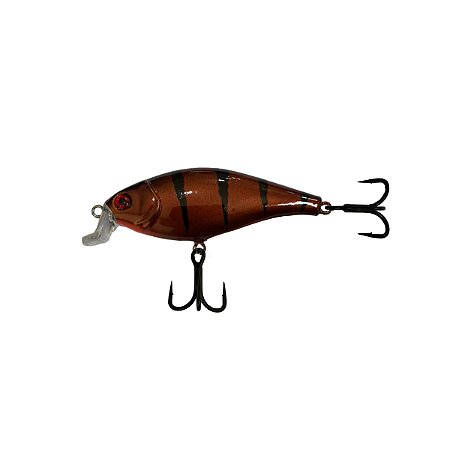 Isca Artificial Lure21 Big Shad 10cm/20g Cor TP (Tuvira Piraputanga)