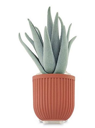 Potted Succulent Wallflowers Fragrance Plug