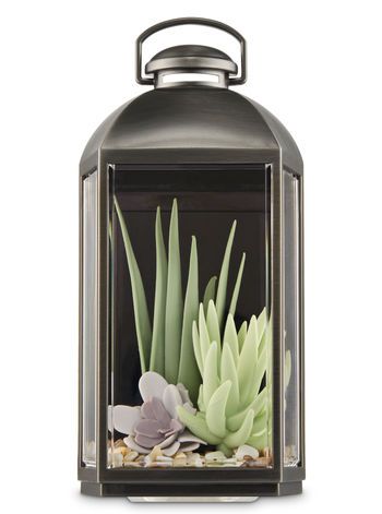Succulent Lantern Wallflowers Fragrance Plug