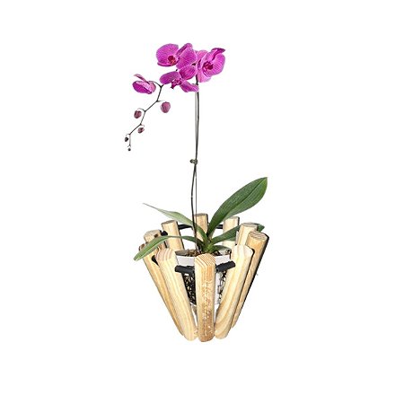 Vaso Jardinagem Cachepot Orquídeas Semente Flores