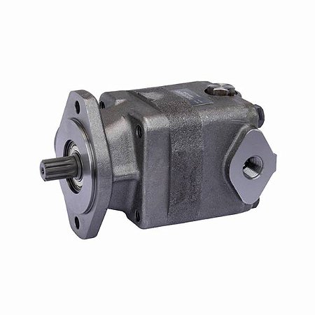 Bomba de Palhetas de Deslocamento Fixo V10, V20 series