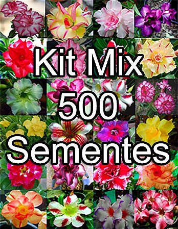Kit Mix 500 Sementes De Rosa Do Deserto Rosa Do Deserto Valmor