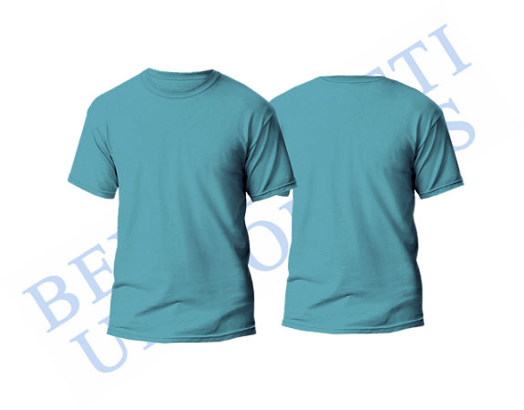 Camiseta PV - Jade