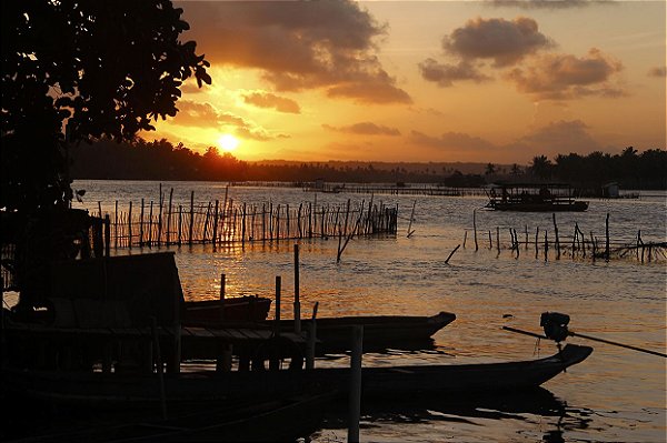 Massagueira Alagoas