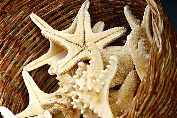 Estrelas Santorini Grécia