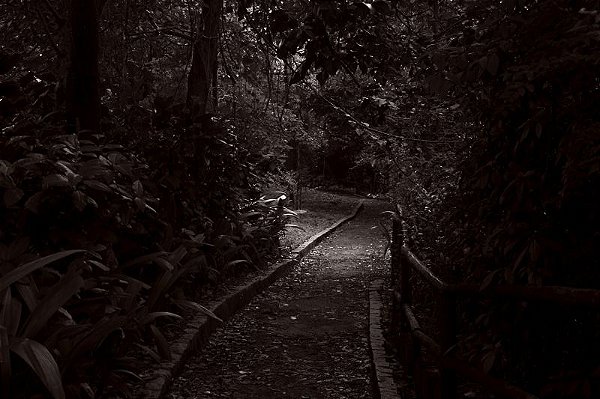 Caminho
