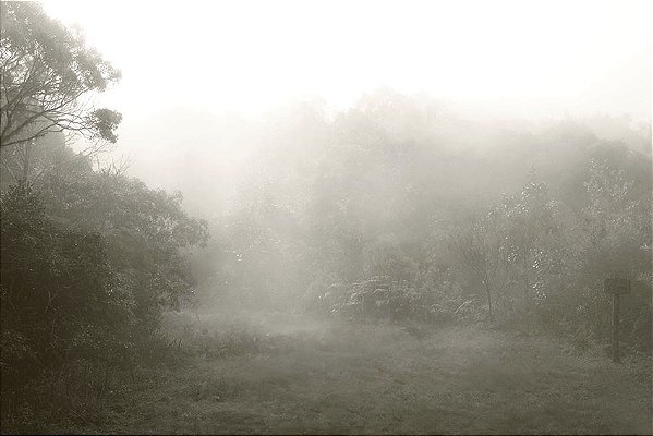 Neblina