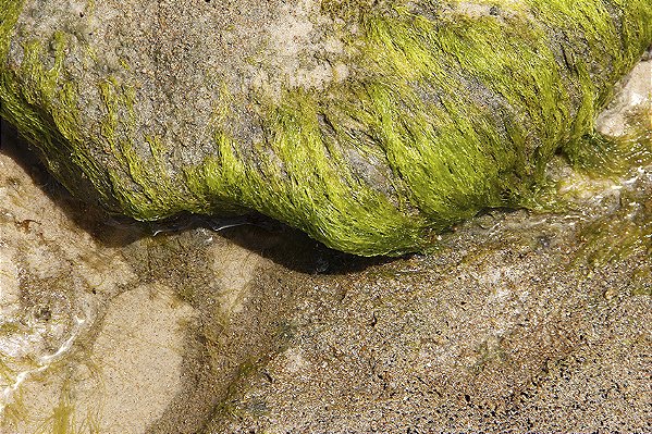 Coruripe 2