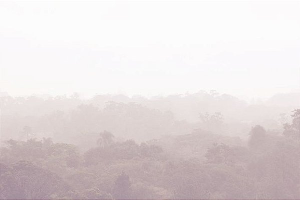 Brumas São Paulo