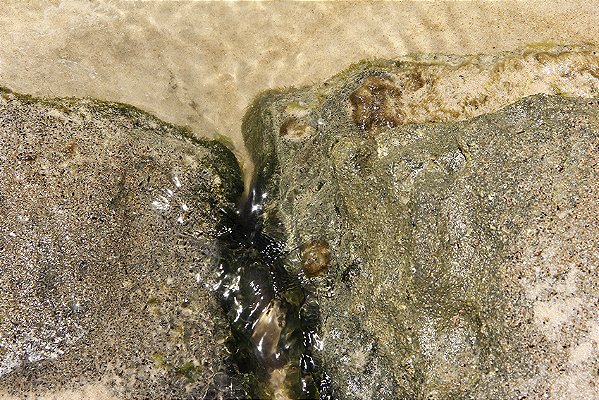 Coruripe 4