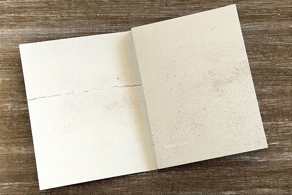 Eu te invalido