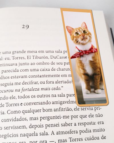 Marcador De Página Magnético Gato Abissínio - Pet Cat - MCAT13