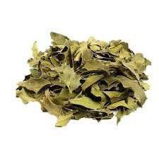 Espinheira Santa 100g