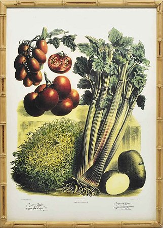 Quadro veggies 2