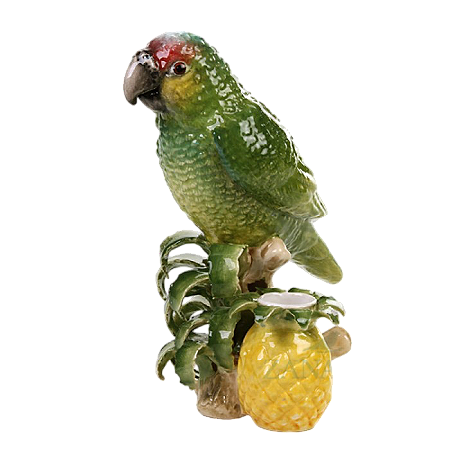 Papagaio no tronco com vasinho de abacaxi