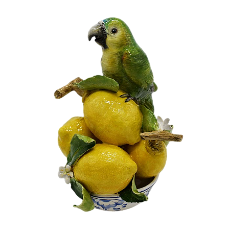 Bowl com limão e papagaio