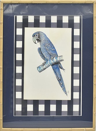 Quadro gravura pássaro azul 2 com passpatur azul e xadrez