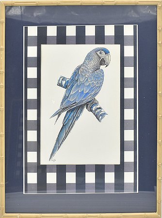 Quadro gravura pássaro azul 3 com passpatur azul e xadrez