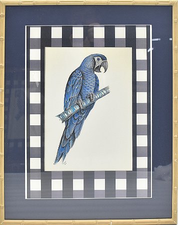 Quadro gravura pássaro azul 4 com passpatur azul e xadrez